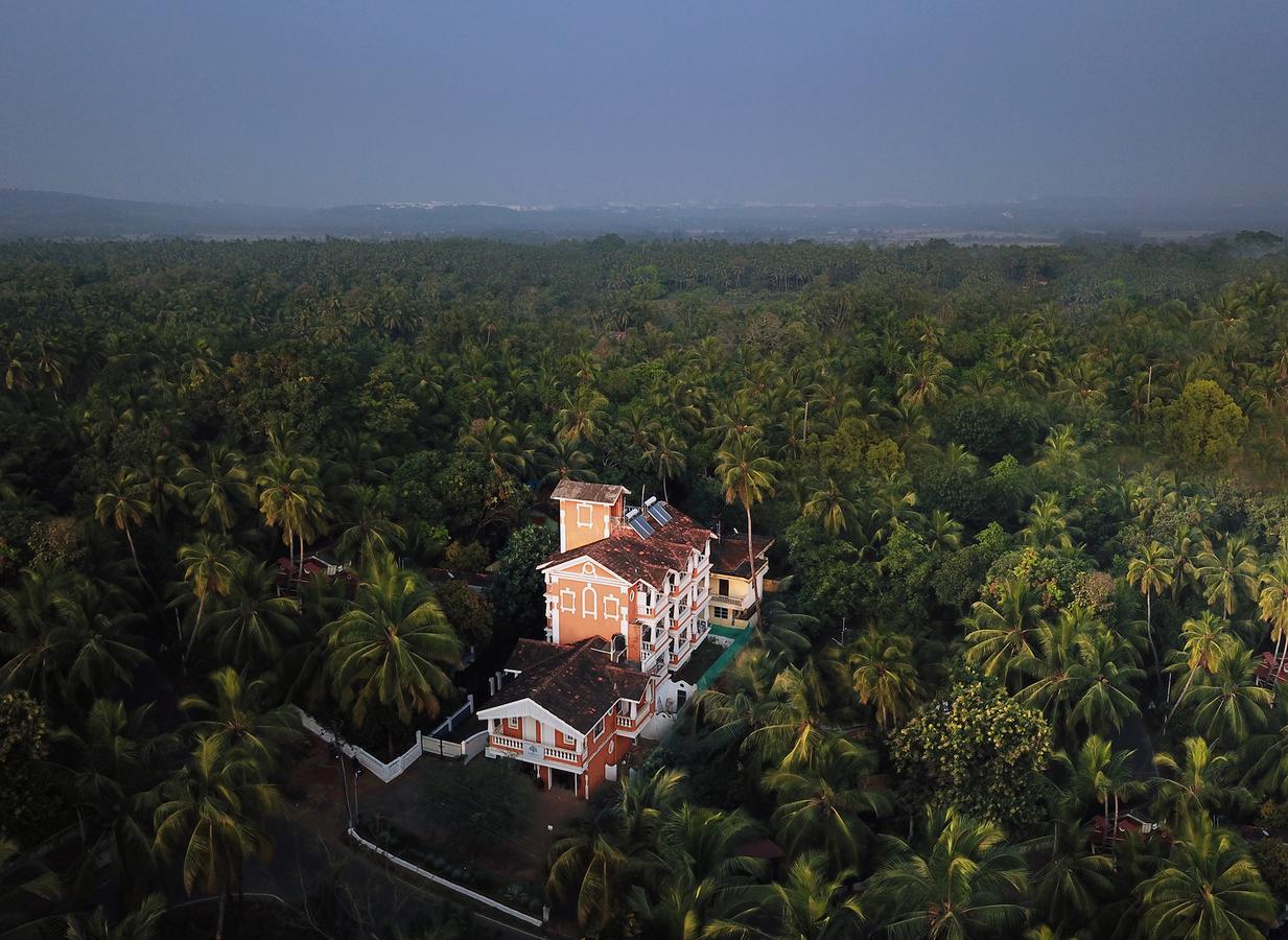 Treehouse Nova Hotel Cansaulim Exterior photo