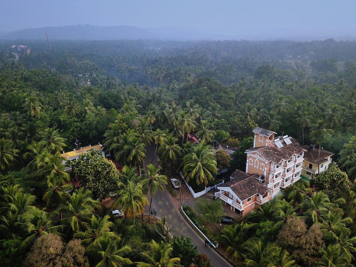 Treehouse Nova Hotel Cansaulim Exterior photo